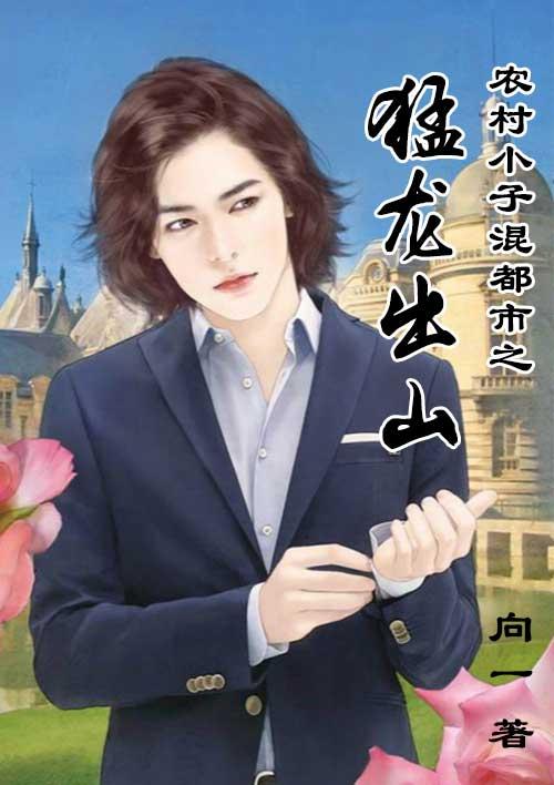 乡村小子混都市