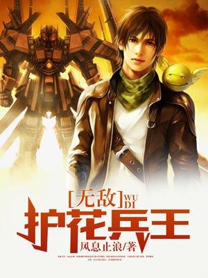 护花兵王