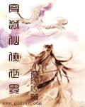 穿越在仙侠世界电灯泡