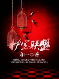 护宝联盟有几季