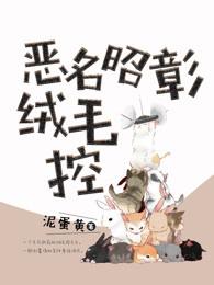 恶名昭彰系列