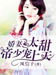 帝少宠上天林逸