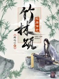 竹林颂嵇康传奇书评解析