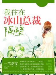 在冰山总裁怀里摇个尾巴gl免费阅读