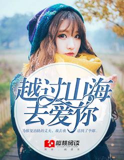 越过山海去爱你的歌词