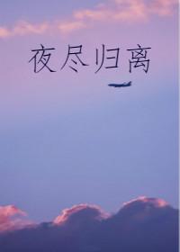 夜尽归离txt链接
