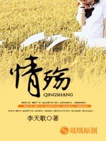 情殇 电视剧