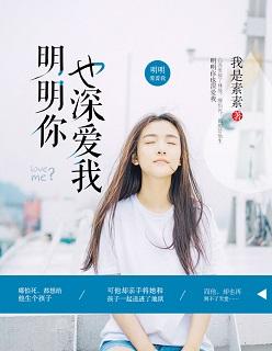 明明你也深爱我宋安宁傅庭深