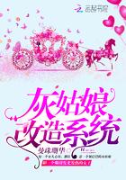灰姑娘道具