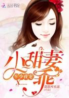 帝少夜宠小骗妻