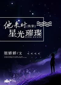 他来时星光璀璨[快穿