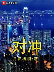对冲汇率风险的工具