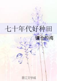 七十年代好种田 镰仓的海盘