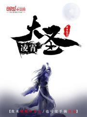 凌霄大圣 聚合中文网