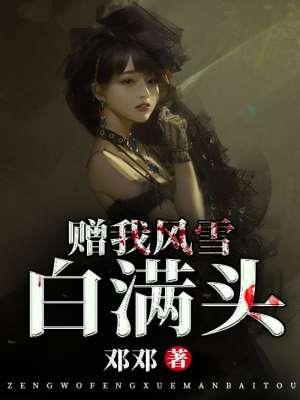 赠我风月歌词