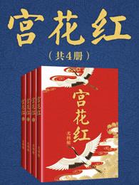 宫花红讲什么