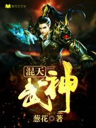 浑天武圣起点