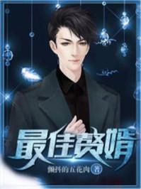 最佳赘婿怎么不更新了