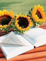 制霸第三帝国全文阅读