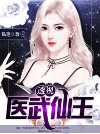 透视医武仙王 猫笔