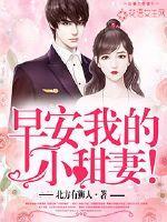 我的小妻子txt