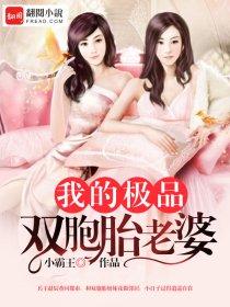 我的极品双胞胎老婆 笔趣阁
