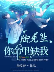 陆先生你命里缺我全文免费阅读陆庭佑