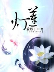 莲灯诗梦林徽因在线阅读