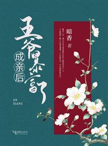 成亲后王爷暴富了TXT免费
