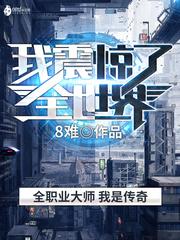 玩具店造机甲我震惊了全世界