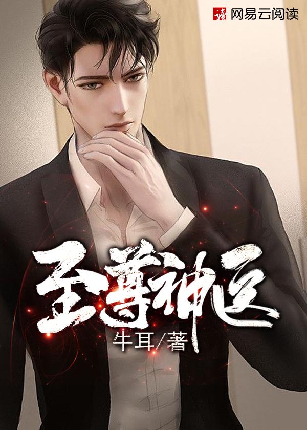 至尊神医叶秋