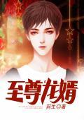 至尊龙婿章节目录