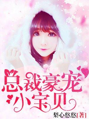 总裁豪宠小宝贝沈月秋
