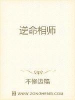 逆命相师书旗