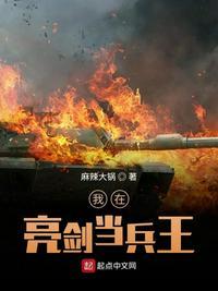 我在亮剑当战狼无删减