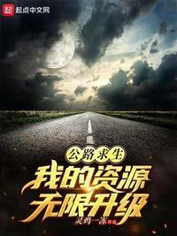 公路求生从升级资源开始全文免费阅读
