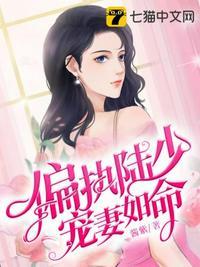 偏执陆少宠妻如命全文阅读