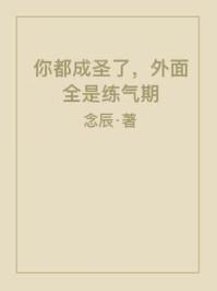 你都成圣了外面全是练气期修炼等级