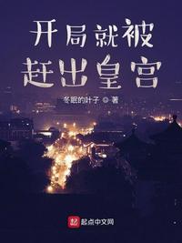 穿越皇子