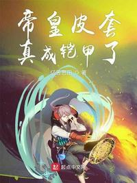 帝皇铠甲皮套制作