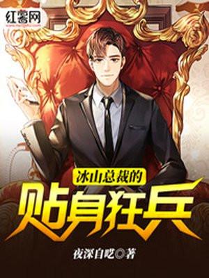 冰山总裁贴身兵王