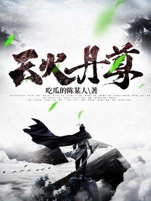 什么是天火丹