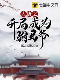大唐开局成了驸马爷