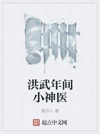 洪武年间小神医有哪些