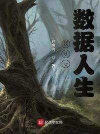 我的数据面板