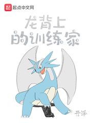 龙背上的训练家全文免费