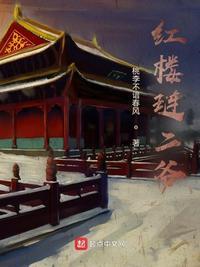 红楼琏二爷笔趣阁免费阅读无弹窗