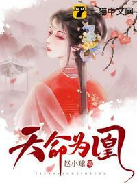 天命为凰境界划分