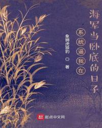 系统海战