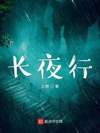 长夜行动井盖